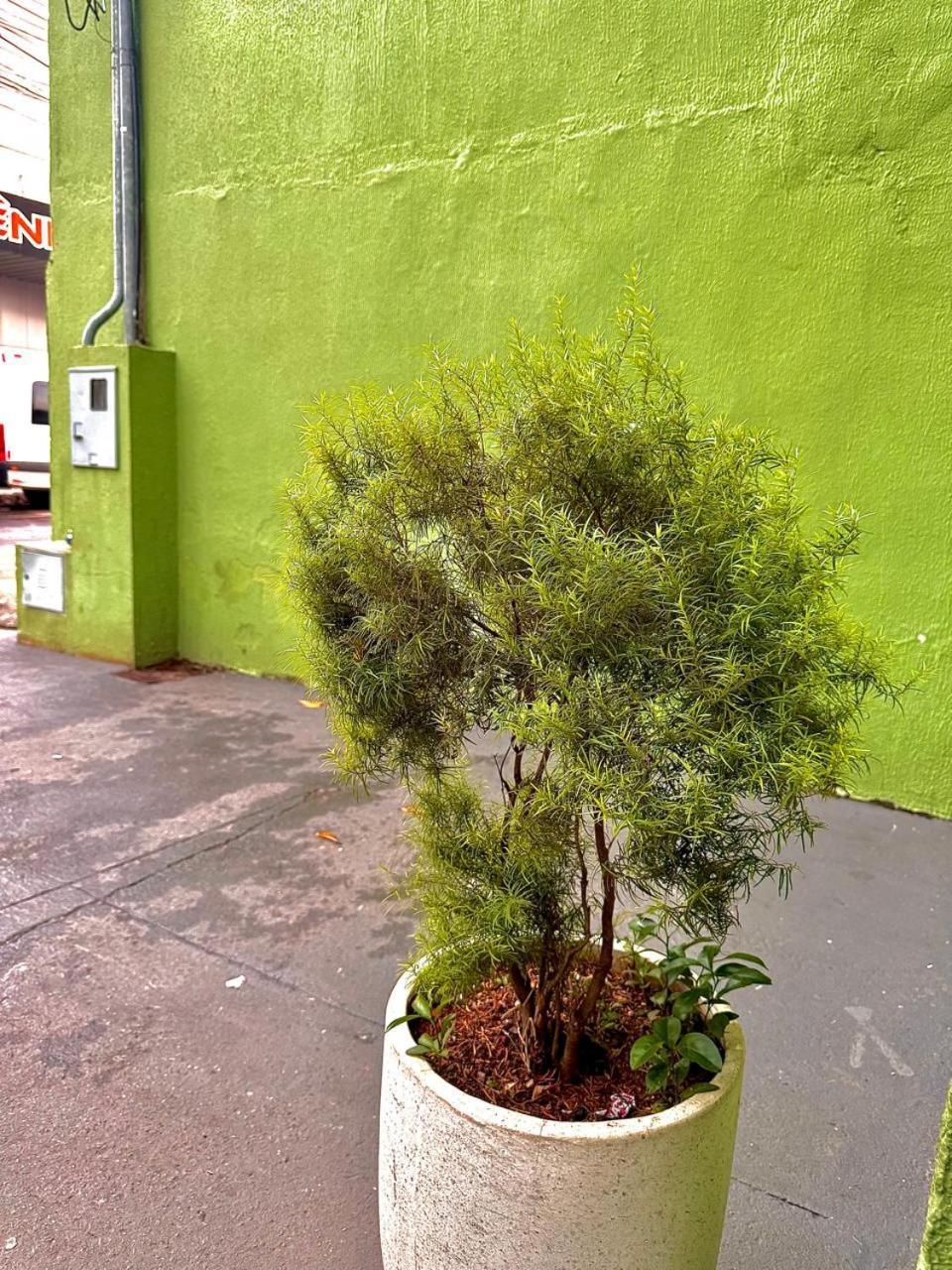 Hotel Oliveira 44 Goiânia Buitenkant foto